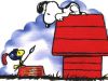 snoopy_1.jpg