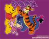 winnie_the_pooh_7.jpg