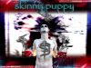 skinny_puppy_4.jpg