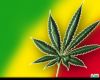 3dope_hanf_marihuana_cannabis_gras_haschisch_-_wallpaper_1600x1200.jpg